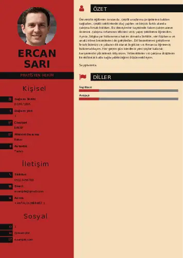 cv indir
